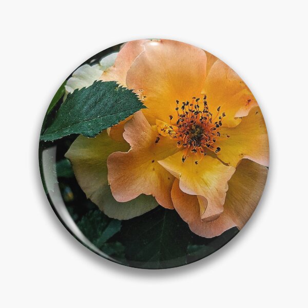 Item preview, Sunset Rose designed and sold by HoneyedBrie.