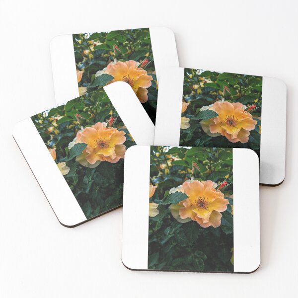 Item preview, Sunset Rose designed and sold by HoneyedBrie.