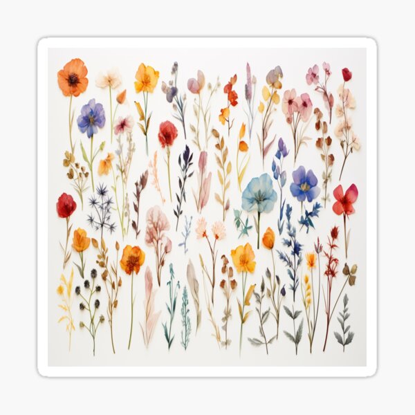 Pressed Flowers Sticker for Sale by corey ann art