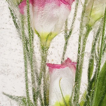 Artwork thumbnail, Spring Time by Zina Zinchik (Seletskaya)