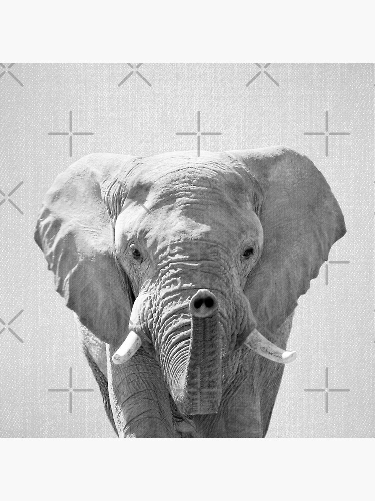 "Elephant - Black & White" Poster for Sale by galdesign | Redbubble