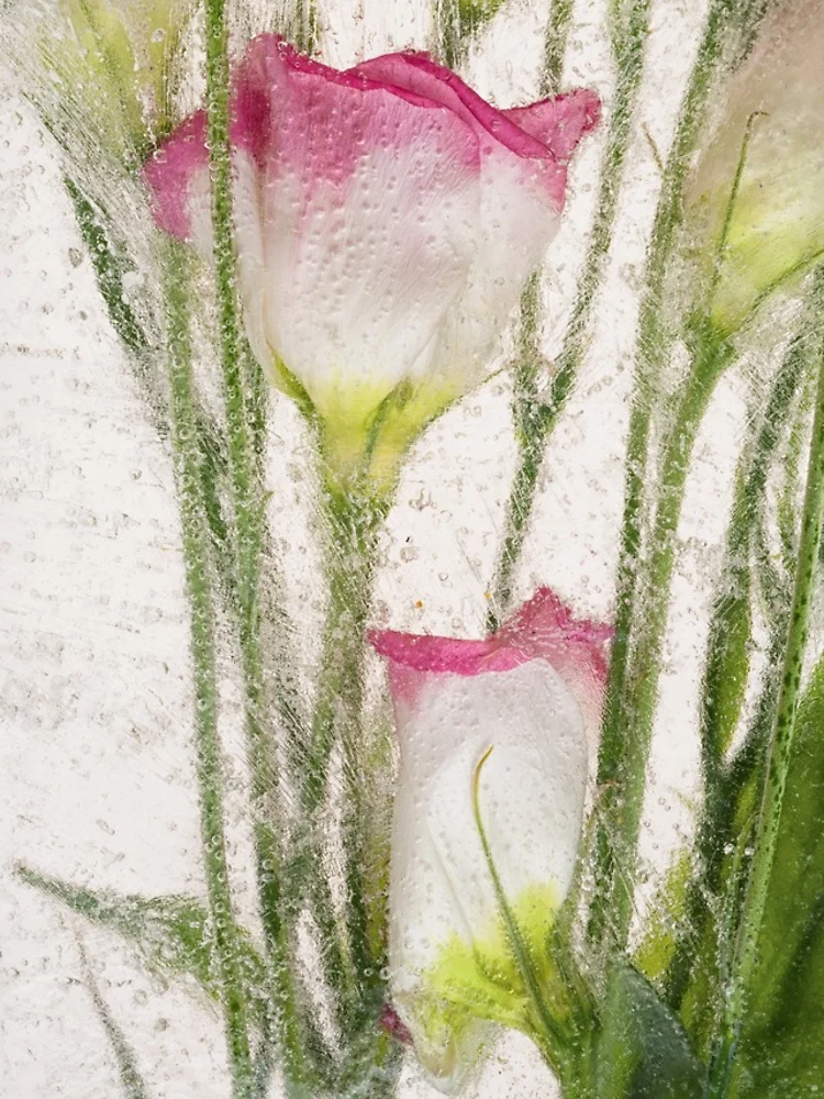 Thumbnail 4 of 4, Samsung Galaxy Phone Case, Spring Time designed and sold by Zina Zinchik (Seletskaya).