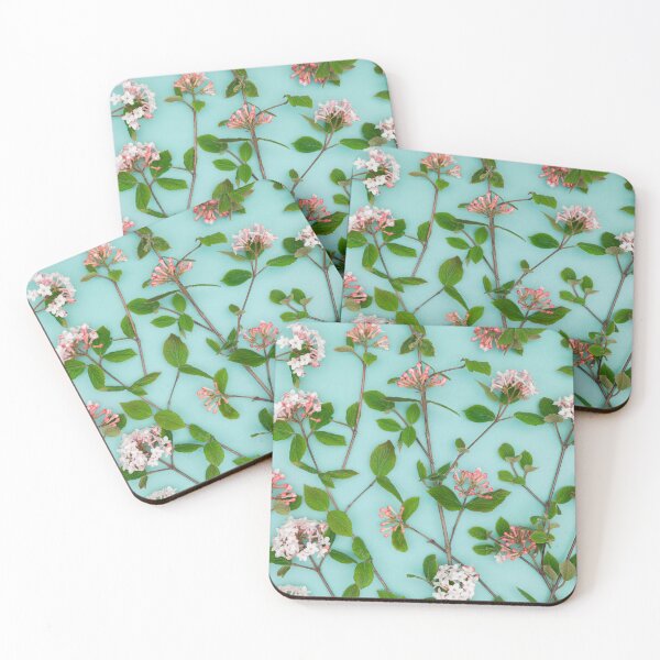 Item preview, Viburnum Juddii Flowers designed and sold by assaf.