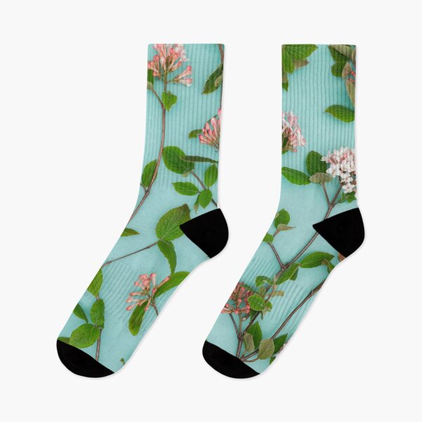 Item preview, Viburnum Juddii Flowers designed and sold by assaf.