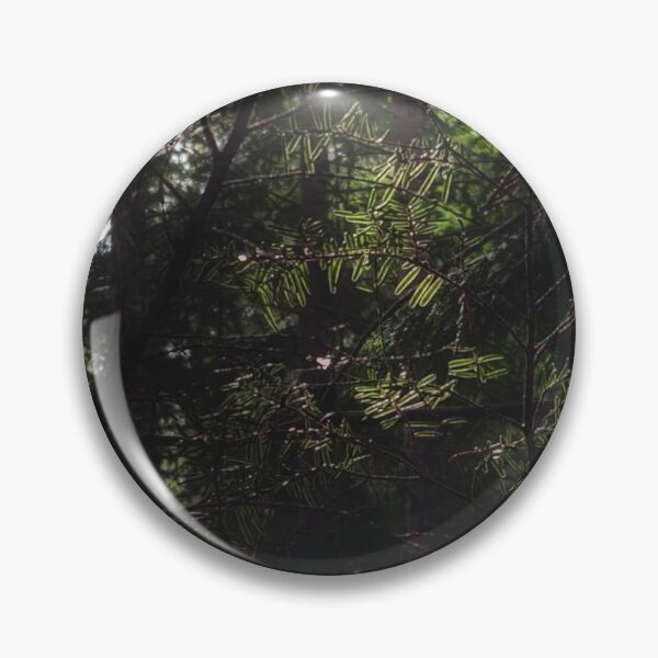Item preview, Evergreen in the Sunlight designed and sold by HoneyedBrie.