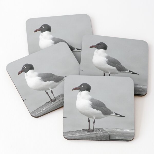 Item preview, Laughing gull designed and sold by FlightsOfNature.