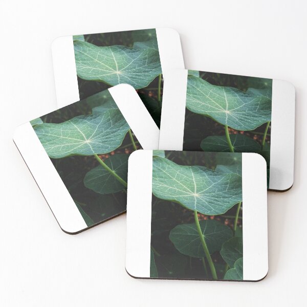 Item preview, Under the Nasturtiums designed and sold by HoneyedBrie.