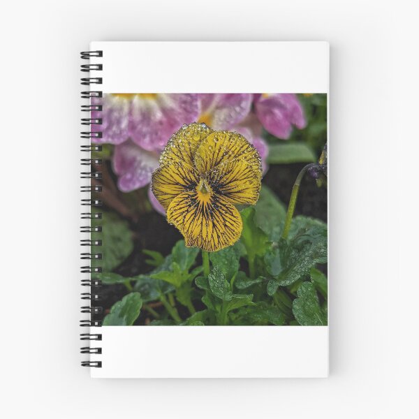 Item preview, Freshly Watered Tiger Pansy designed and sold by HoneyedBrie.