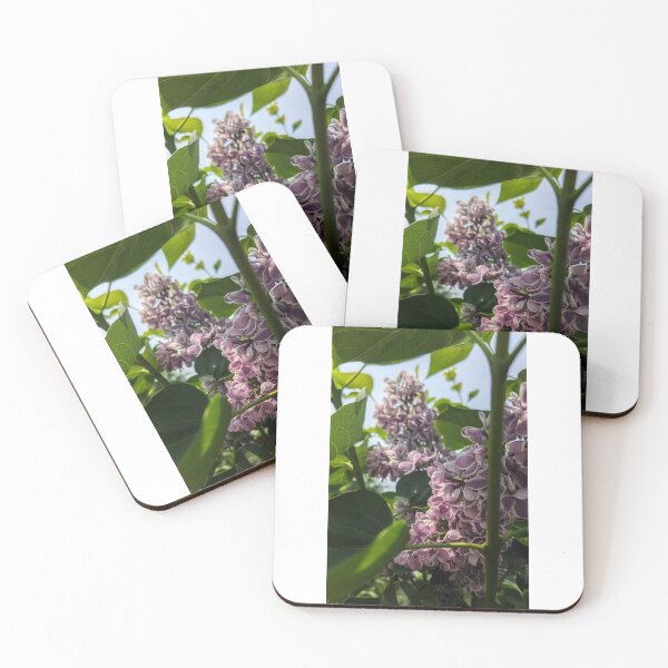 Item preview, Bicolour Lilacs designed and sold by HoneyedBrie.