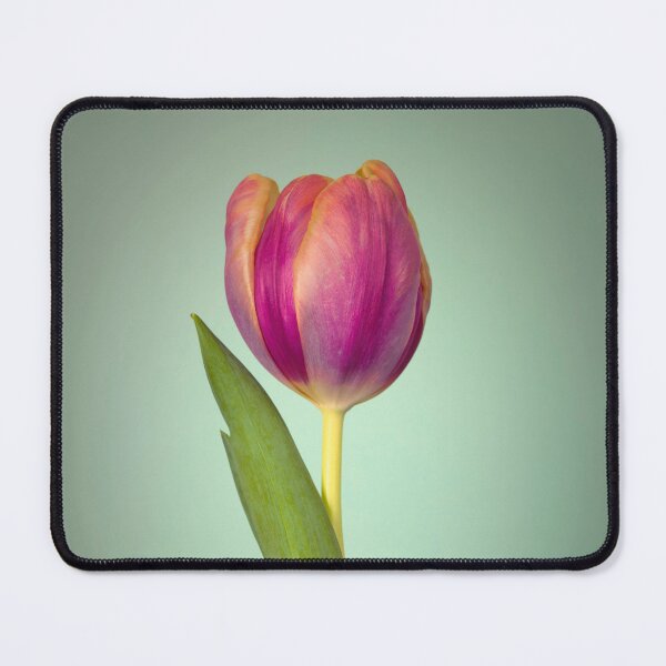 Item preview, Single Tulip Flower designed and sold by assaf.