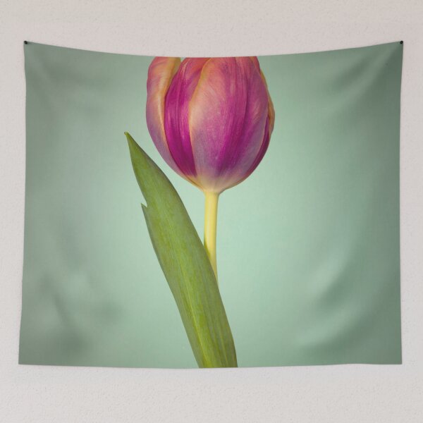 Item preview, Single Tulip Flower designed and sold by assaf.