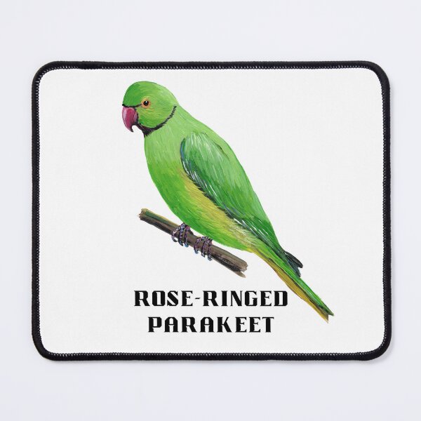 Item preview, Rose-ringed parakeet designed and sold by Roy & Tiffany.