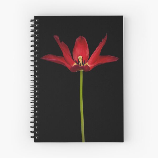 Item preview, Moneymaker Tulip designed and sold by assaf.