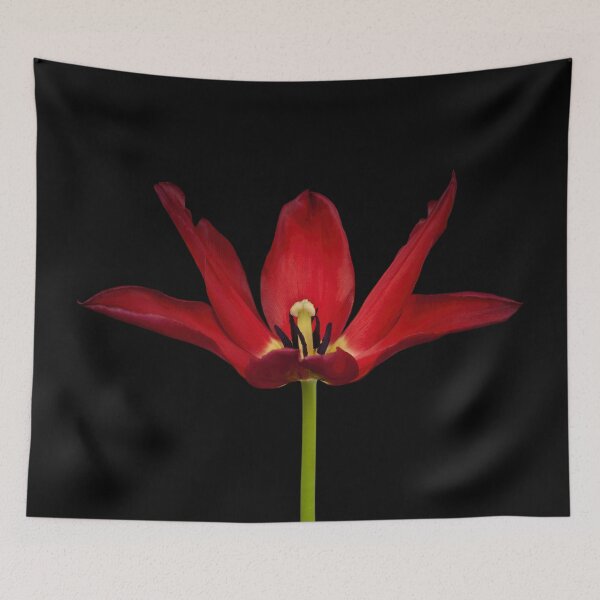 Item preview, Moneymaker Tulip designed and sold by assaf.