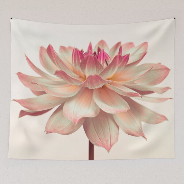 Item preview, Pink Dahila designed and sold by assaf.