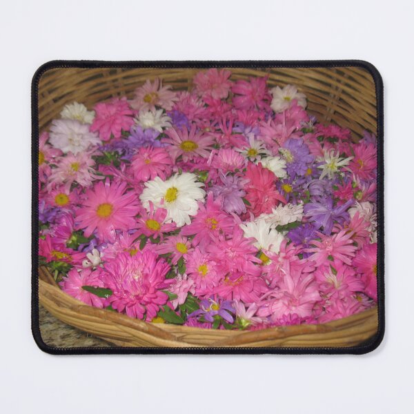 Item preview, Asters Harvest designed and sold by ANA LEMGRUBER.
