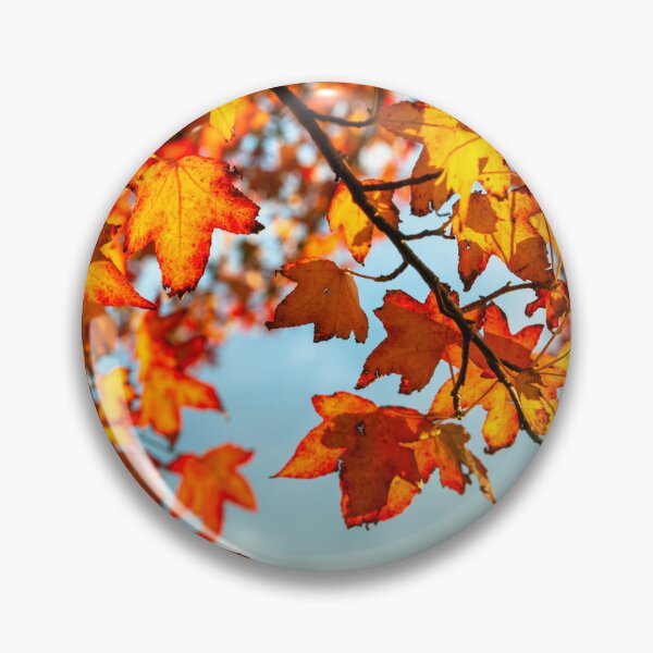 Artikelvorschau, Autumn Leaves entworfen und verkauft von assaf.