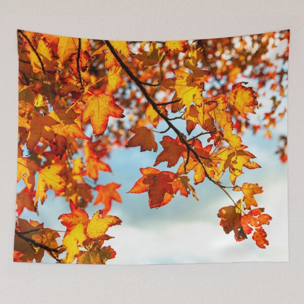 Item preview, Autumn Leaves designed and sold by assaf.