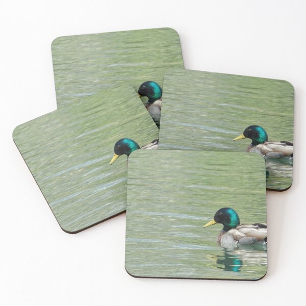 Item preview, Mallard designed and sold by OnigiriSuiko.