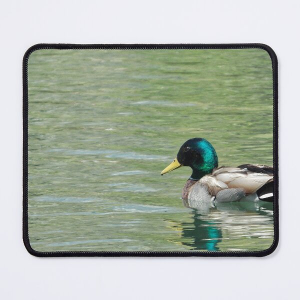 Item preview, Mallard designed and sold by OnigiriSuiko.
