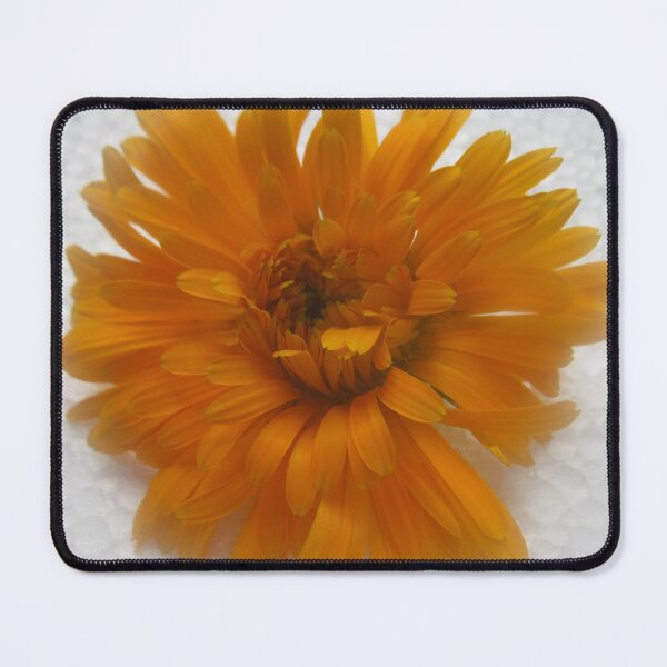 Item preview, Orange Aster designed and sold by ANA LEMGRUBER.