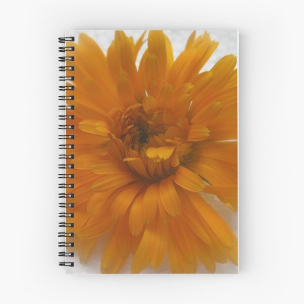 Item preview, Orange Aster designed and sold by ANA LEMGRUBER.