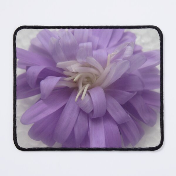 Item preview, Purple Aster designed and sold by ANA LEMGRUBER.