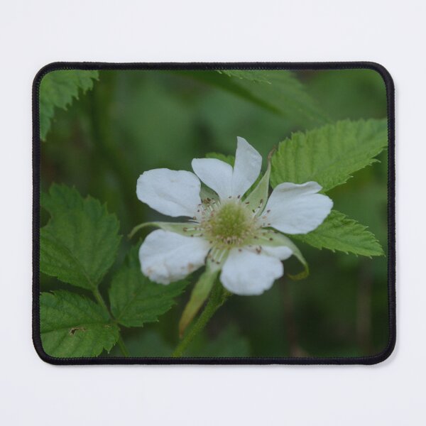 Item preview, Raspberry Flower designed and sold by ANA LEMGRUBER.