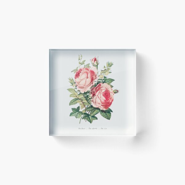 Item preview, The Rose, the Myrtle and the Ivy from The Language of Flowers designed and sold by fleurdesignart.