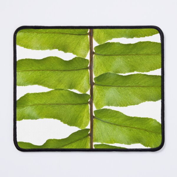 Item preview, Graceful Fronds designed and sold by assaf.