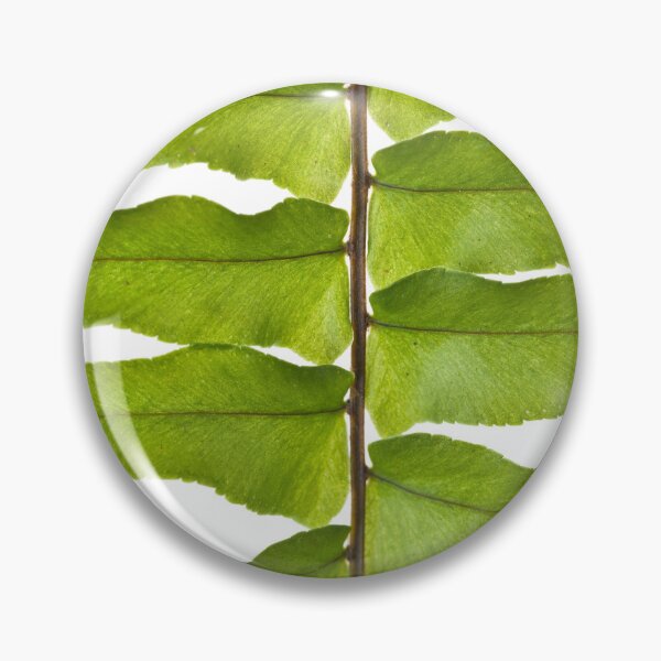 Item preview, Graceful Fronds designed and sold by assaf.