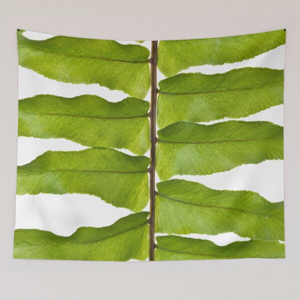 Item preview, Graceful Fronds designed and sold by assaf.