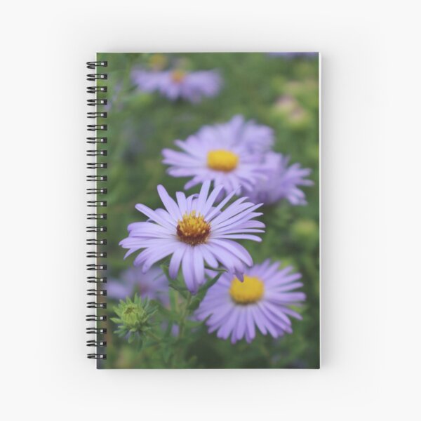Item preview, Asters designed and sold by It's All Malarkey.