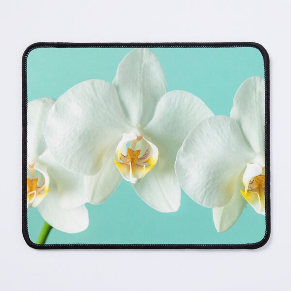 Item preview, Elegant Orchid Stem designed and sold by assaf.