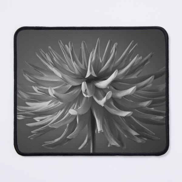 Item preview, Dazzling Dahlia designed and sold by assaf.