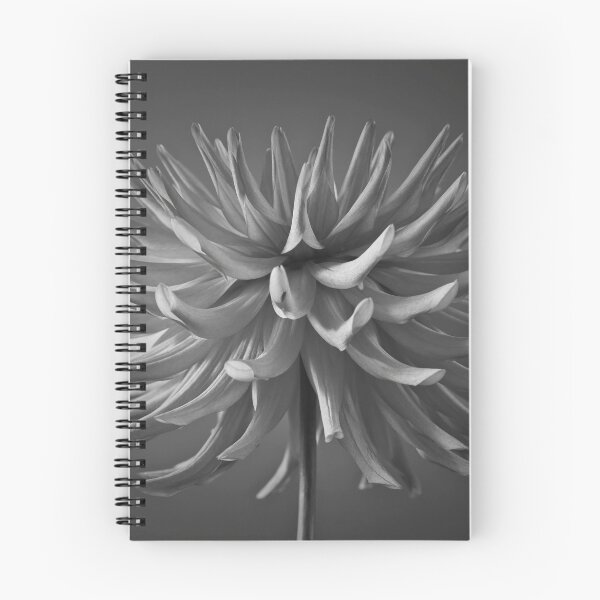 Item preview, Dazzling Dahlia designed and sold by assaf.