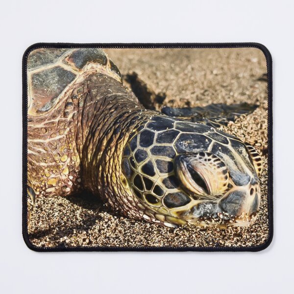 Item preview, Green Sea Turtle Photograph Closeup Beach Sand Hawaii designed and sold by Avila Loomis.