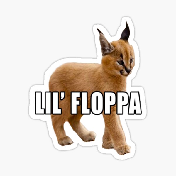 cheems #floppa #bigfloppa #meme #memes #cursedimages #cursed #dankmemes  #dank #caracal #cutecats #animals…