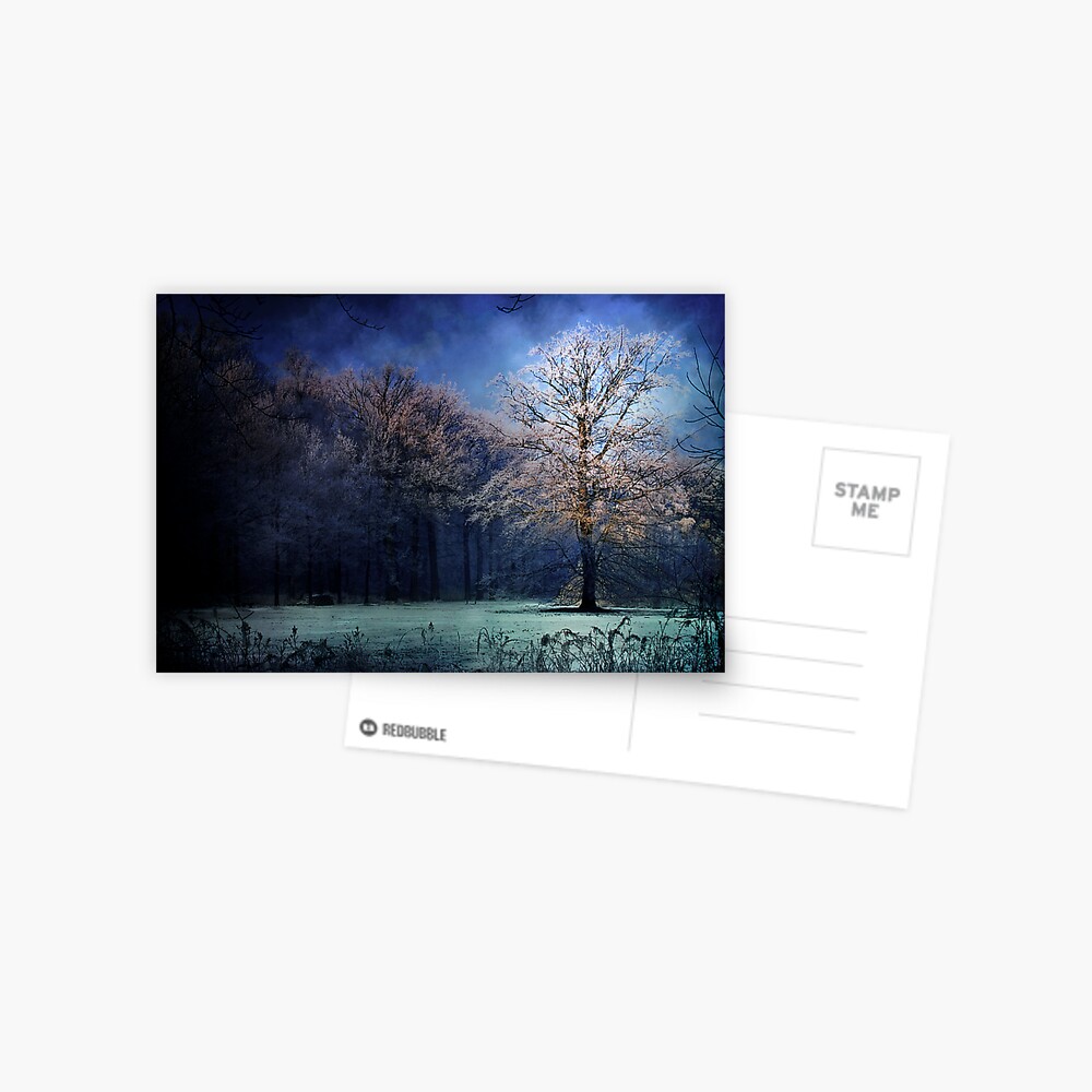 My blue tree Postcard