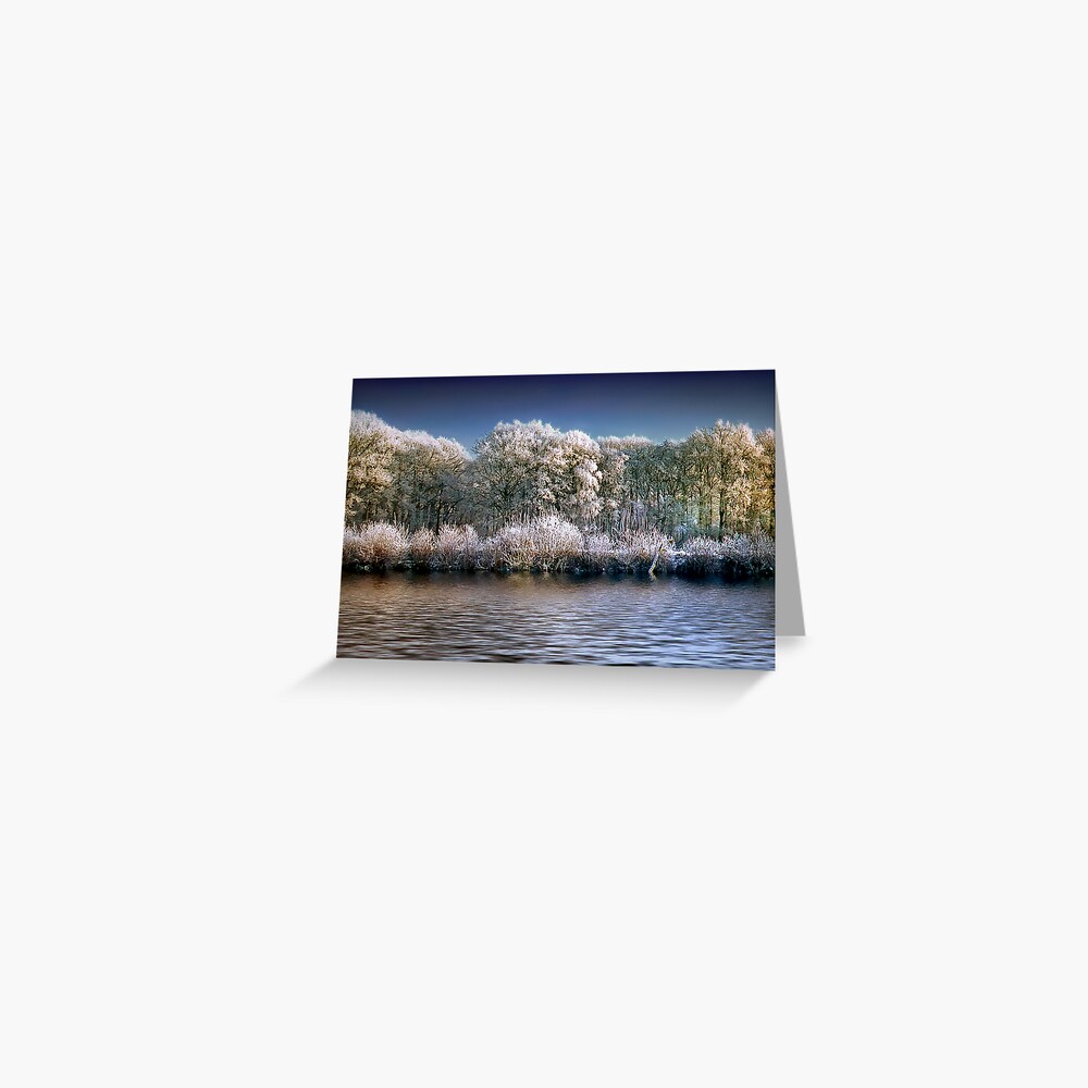 reflections Greeting Card