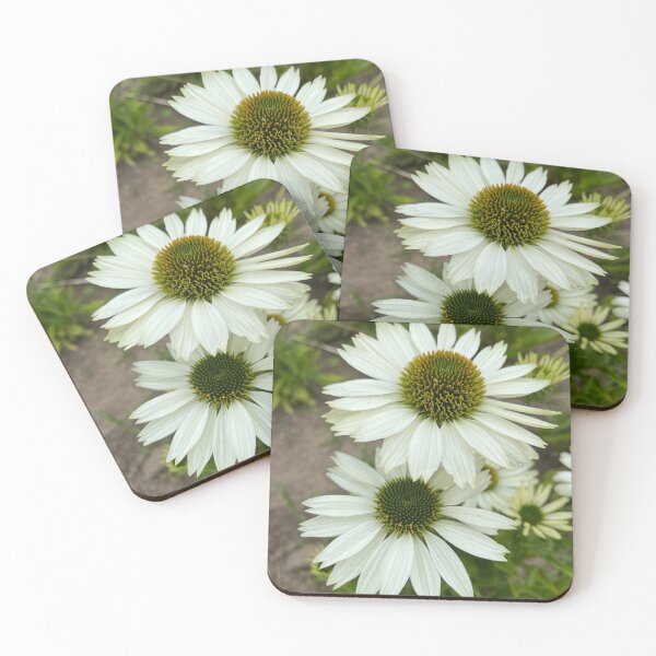 Item preview, Echinacea Purpurea Alba designed and sold by Ponted.