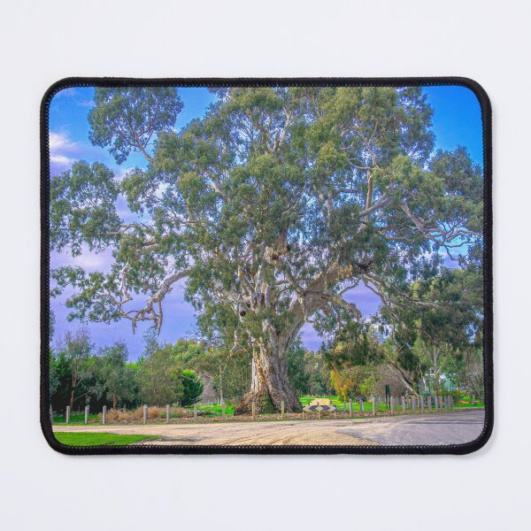 Item preview, The Big Old Red Gum Tree in Guildford, Victoria designed and sold by Steven Jodoin.