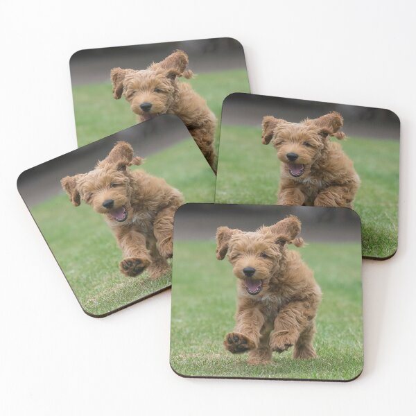 Item preview, Labradoodle designed and sold by SteveWard.
