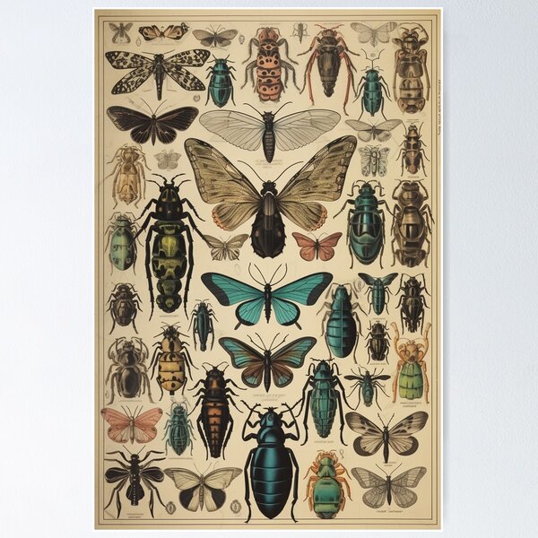 Item preview, Butterfly Print 2 designed and sold by Salocin.