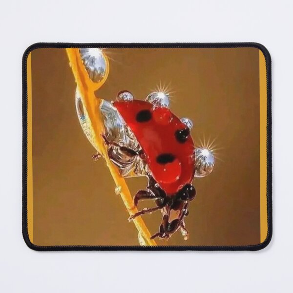 Item preview, sparkling ladybird designed and sold by ritusdesigns.
