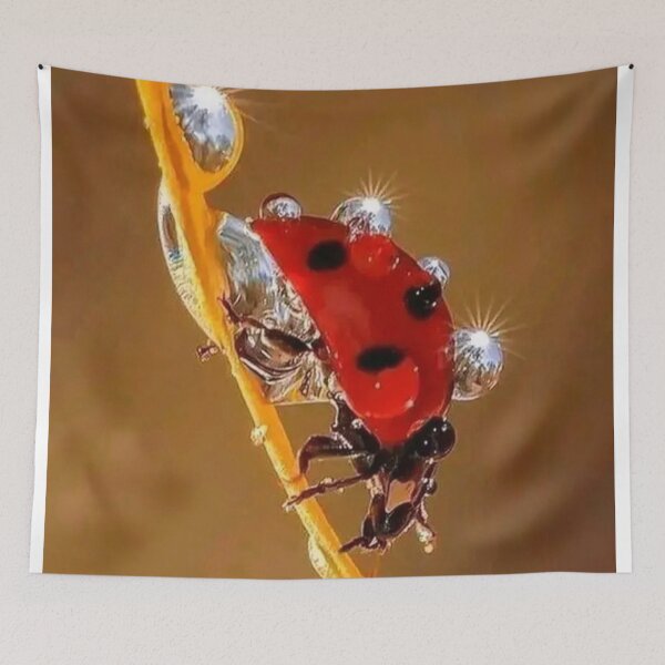 Item preview, sparkling ladybird designed and sold by ritusdesigns.