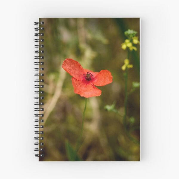 Item preview, The Shy Poppy. Theologos. Thassos 2023 69 designed and sold by Jouko Lehto Photography.