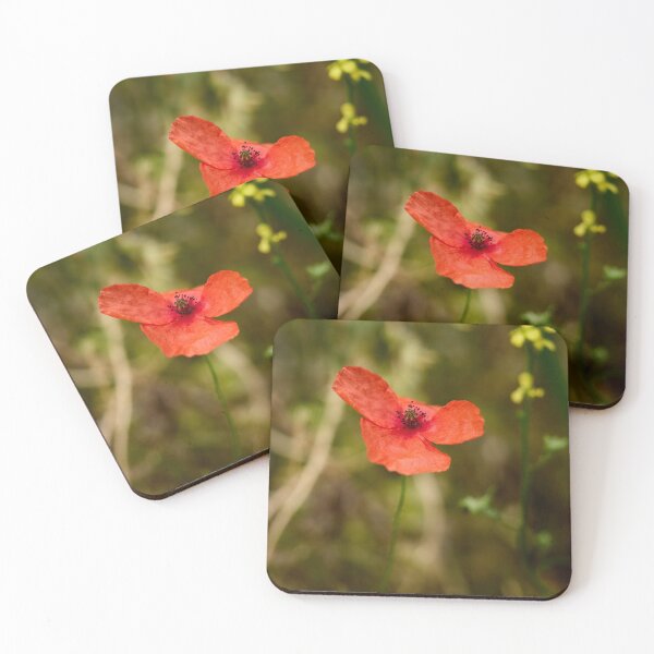 Item preview, The Shy Poppy. Theologos. Thassos 2023 69 designed and sold by Jouko Lehto Photography.