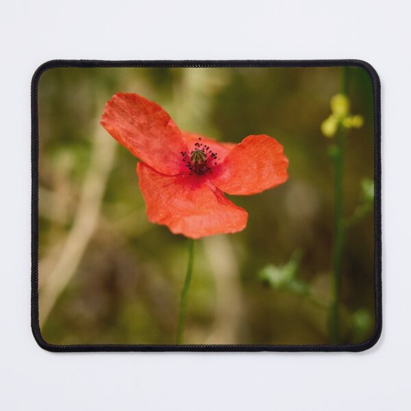 Item preview, The Shy Poppy. Theologos. Thassos 2023 69 designed and sold by Jouko Lehto Photography.