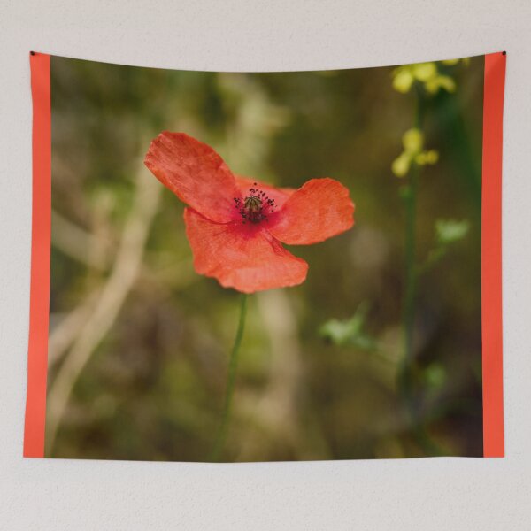 Item preview, The Shy Poppy. Theologos. Thassos 2023 69 designed and sold by Jouko Lehto Photography.